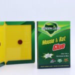 Free Shipping GREEN LEAF Mouse & Rat Glue Board, Mini Type A Strong Sticky Mouse Trap, Non-toxic Odorless Rodent Catcher for Indoor Use