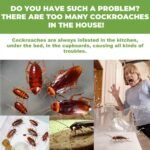 Free Shipping Cockroach Gel Bait, Roach Repellent, Domestic Dormitory Kitchen Powerful Cleaning Cockroach Exterminator Cockroach Gel Bait Pest Control Kit Rodent Repellent Pouches for Indoor & Outdoor - Image 8